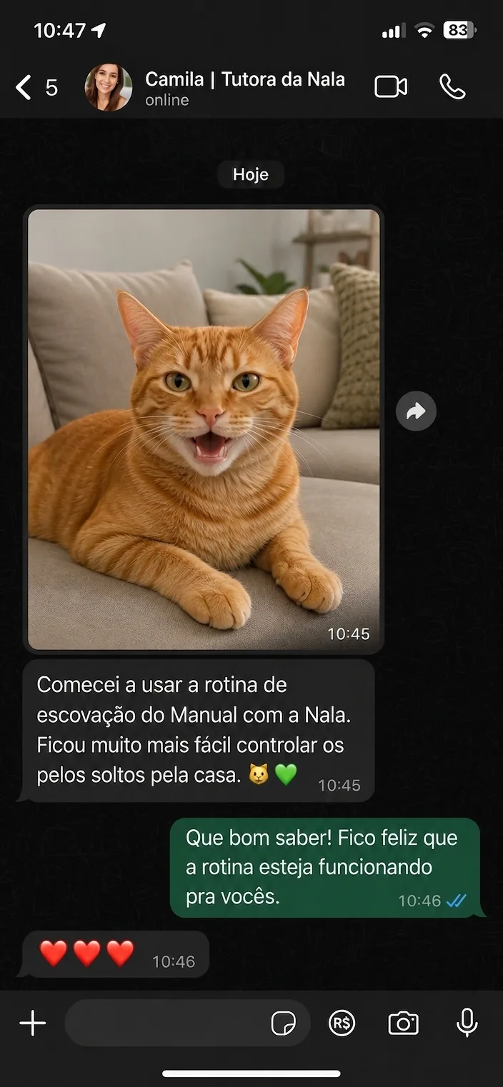 Print de conversa: tutora da Nala contando que a rotina de escovação do livro facilitou o controle de pelos soltos
