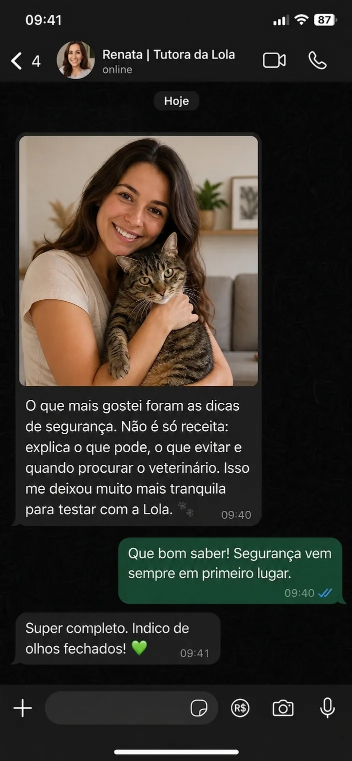 Print de conversa: tutora da Lola contando que gostou das dicas de segurança do livro