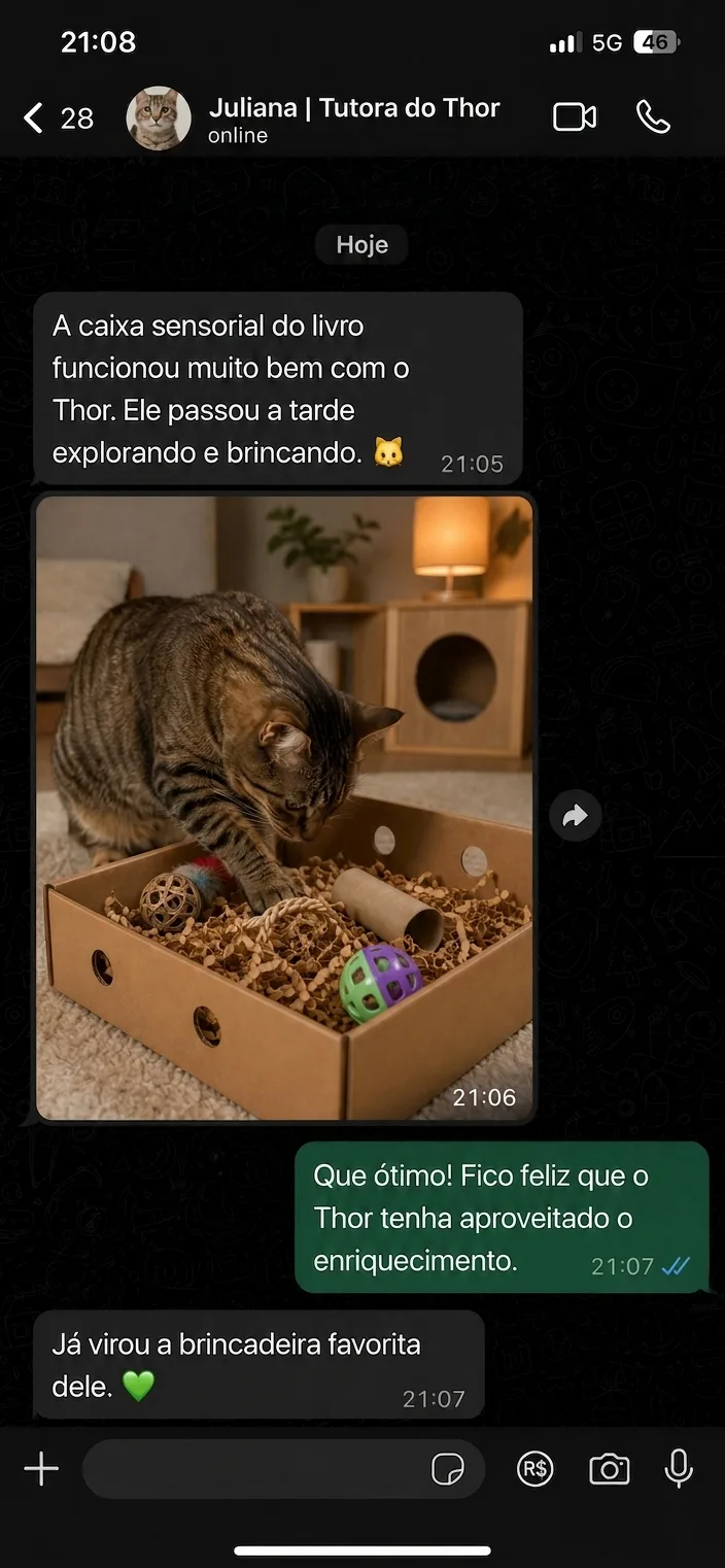 Print de conversa: tutora do Thor contando que a caixa sensorial do livro virou a brincadeira favorita dele