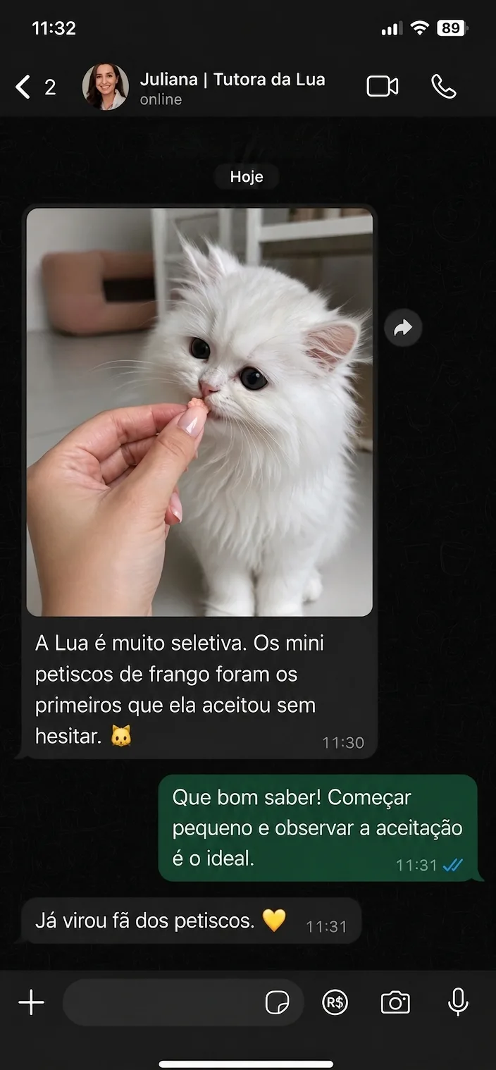 Print de conversa: tutora da Lua contando que os mini petiscos de frango foram aceitos sem hesitar